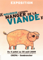 nourrir-animal-manger-viande