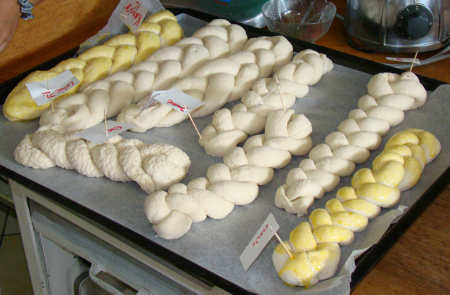 DSC02209_Site