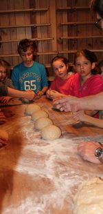 IMG 4588