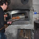 IMG 4613