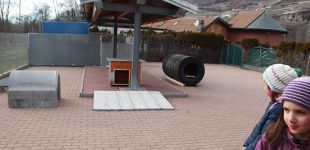 IMG 8990