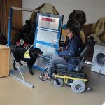IMG 8992