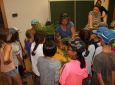 IMG 9862